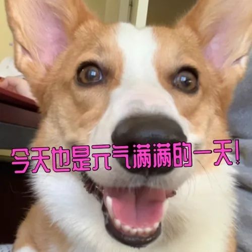 DƬ